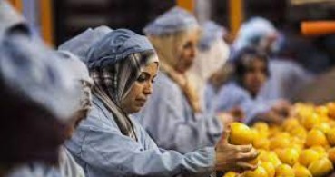 无极4可信吗.无极4信誉吗